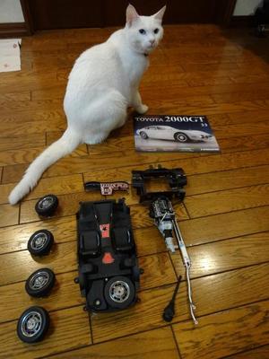 ミルフィーの２０００ＧＴ