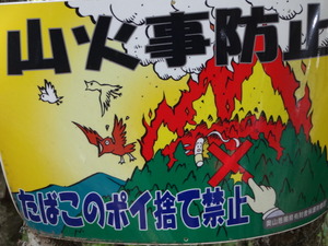 オフロード入門（山梨）