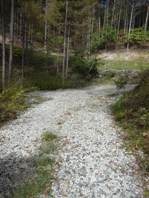 オフロード入門（山梨）