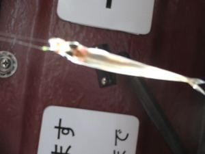 ワカサギ釣り（山中湖）