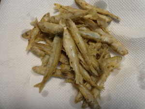 ワカサギ釣り（山中湖）