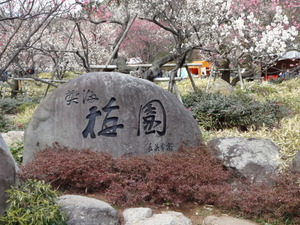 ツーリング（熱海梅園）