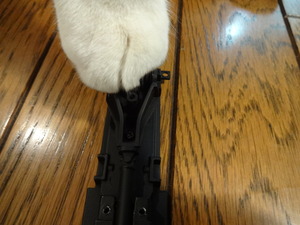 ２０００ＧＴ（ねこ）