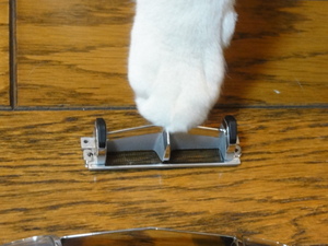 猫の整備士（居眠り？）