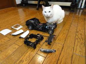 猫の整備士（居眠り？）