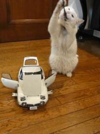 ラスト２０００ＧＴ（猫の整備士）