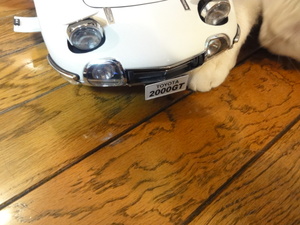 ラスト２０００ＧＴ（猫の整備士）