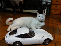 ラスト２０００ＧＴ（猫の整備士）