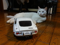 ラスト２０００ＧＴ（猫の整備士）