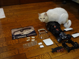 猫の整備士（ＴＯＹＯＴＡ２０００ＧＴ）