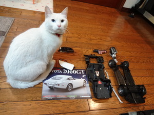ミルフィーの仕事（トヨタ２０００ＧＴ）