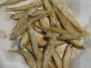 わかさぎ釣り（山中湖）