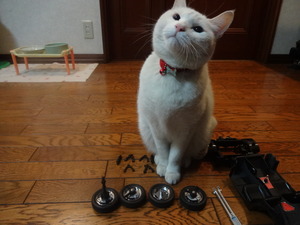 すみません！（２０００ＧＴ）