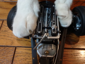 猫の整備士ミルフィー（トヨタ２０００ＧＴ）