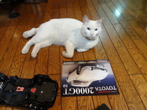 ２０００ＧＴ（猫の整備士）