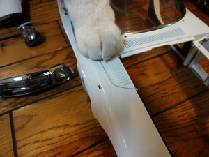 ２０００ＧＴ（猫の整備士）