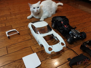 ２０００ＧＴ（猫の整備士）