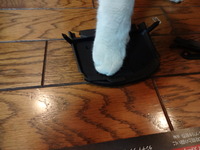 猫の整備士（ミルフィー）