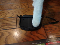 猫の整備士（ミルフィー）