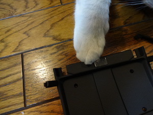 猫の整備士（ミルフィー）