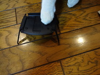 猫の整備士（ミルフィー）