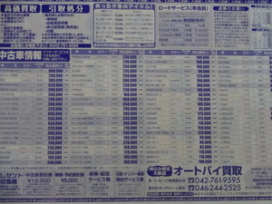 猫のセール（１日店長）