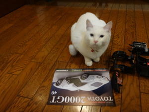 トヨタ２０００ＧＴ（猫の整備士）