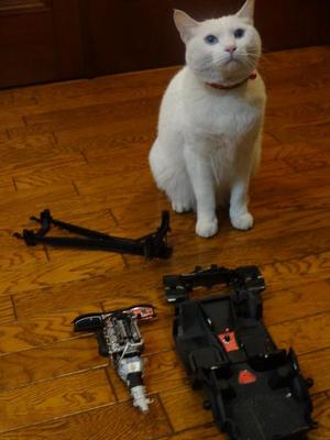 トヨタ２０００ＧＴ（猫の整備士）
