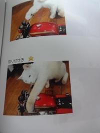猫の整備士（製本に）
