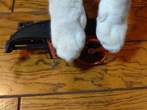 猫の整備士　（ミルフィー）