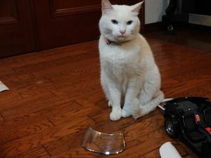 猫の整備士（ミルフィー）