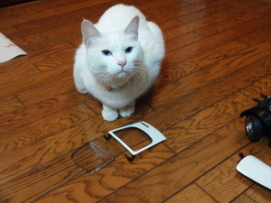 猫の整備士　物語！