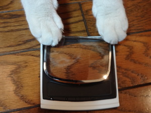 猫の整備士　物語！