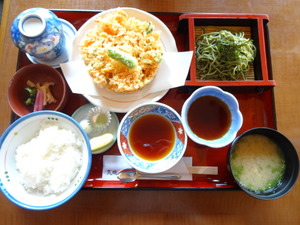 桜えびかき揚げ（ツーリング）