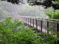 日本一つり橋
