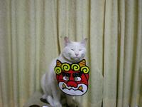 猫の日（２月２２日）
