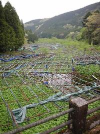 伊豆ツーリング（伊豆七滝）