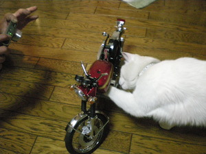 ＣＢ７５０Ｆｏｕｒ　ＮＯ，４０