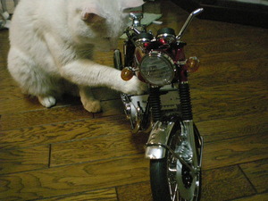 ＣＢ７５０Ｆｏｕｒ　ＮＯ，４０