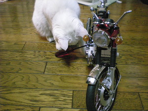 ＣＢ７５０Ｆｏｕｒ　ＮＯ，４０