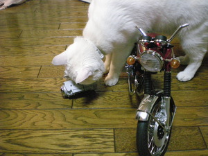 ＣＢ７５０Ｆｏｕｒ　ＮＯ，４０