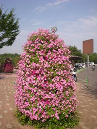 赤城山ツーリング（ＮＯ，１）