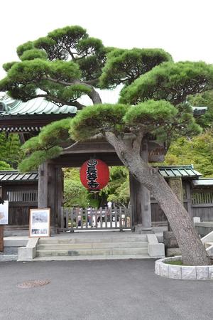 鎌倉紀行　（長谷寺）