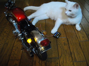 ミルフィーの仕事