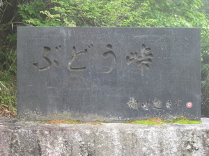 ツーリング（ぶどう峠）