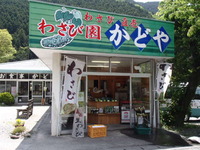伊豆ツーリング（大室山）
