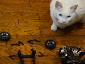猫の整備士ミルフィー