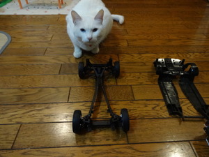 猫の整備士ミルフィー