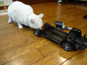 猫の整備士ミルフィー