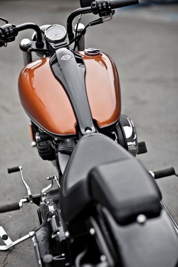 FXS1